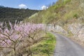 Moselle Vineyards Road, Germany