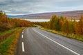 View along the road for Lagarfljot river, Iceland