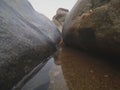 View along rocks, algae, sea, pebble and sea creatures