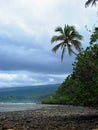 View along the rocky tropical coastline Royalty Free Stock Photo