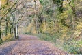 A Tree Lined, Autumn View Along Rolle Road, Site of the Victorian Rolle Canal with Gate and Bench; Great Torrington, Devon, Englan Royalty Free Stock Photo