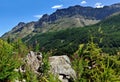 View on alpien stones and flowers in valley Valle dAosta Royalty Free Stock Photo