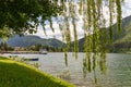 View of the Alpine lake Idro Lago Idro framed by long green willow branches stretching towards the water