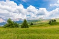 View of alpine meadow with wild flowers in the Italian Dolomites. Royalty Free Stock Photo
