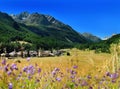View on alpine mountain village Rhemes Notre Dame from hayfield Royalty Free Stock Photo
