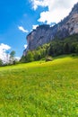 Chalets on green mountain slope. Swiss Alps. Lauterbrunnen, Switzerland, Europe. Royalty Free Stock Photo