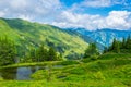 View of the alps along the famous hiking trail Pinzgauer spaziergang near Zell am See, Salzburg region, Austria....IMAGE