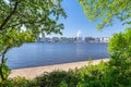 View of the Alster river Binnenalster in Hamburg with flowering green vegetation in the foreground
