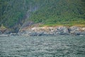 View From The Altantic Ocean Of The Cape Breton Highlands Royalty Free Stock Photo