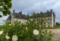 View on Amboise chapel Royalty Free Stock Photo