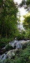 View of Amicalola Falls - Waterfall Among the Trees