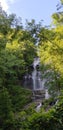 View of Amicalola Falls - Waterfall Among the Trees