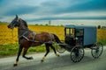 View of Amish buggy on a road with a horse in eastern Pennsylvania