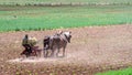 View of an Amish Farmer Cultivating his Field With Two Horses Pulling