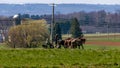 View of An Amish Farmer Plowing His Field With Four Horses on a Sunny Day Royalty Free Stock Photo