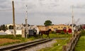 View of an Amish Horse and Buggy, Crossing a Countryside Rail Road Crossing Royalty Free Stock Photo