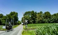 View of An Amish Horse and Carriage Traveling Down a Rural Count Royalty Free Stock Photo