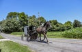 View of An Amish Horse and Carriage Traveling Down a Rural Country Road Royalty Free Stock Photo