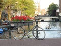 View of Amsterdam's canal Royalty Free Stock Photo
