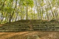 View of an ancient amphitheater in the open air in the middle of the forest Royalty Free Stock Photo