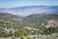 View of the Ancient Bristlecone Pine Forest in California Royalty Free Stock Photo