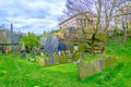 View of an ancient graveyard spread across saint james garden in Liverpool, England