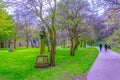 View of an ancient graveyard spread across saint james garden in Liverpool, England