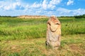 View of the ancient kurgan stela, stone idol against the backdrop of ancient mound of sandstone boulders