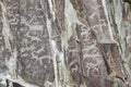 View of ancient petroglyphs in Altay mountains