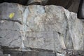 View of ancient petroglyphs in Altay mountains