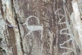 View of ancient petroglyphs in Altay mountains