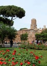 View of an ancient Roman Forum with columns and ruins around in Rome, Italy Royalty Free Stock Photo