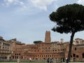 View of an ancient Roman Forum with columns and ruins around in Rome, Italy Royalty Free Stock Photo