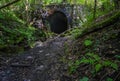 View of an ancient stone tunnel nestled among the lush foliage of a forest in Mountain Ash Royalty Free Stock Photo