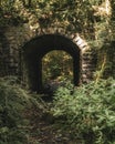 View of an ancient stone tunnel nestled among the lush foliage of a forest in Mountain Ash Royalty Free Stock Photo