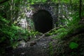 View of an ancient stone tunnel nestled among the lush foliage of a forest in Mountain Ash Royalty Free Stock Photo