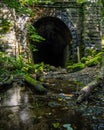 View of an ancient stone tunnel nestled among the lush foliage of a forest in Mountain Ash Royalty Free Stock Photo