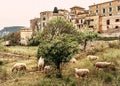 View of the ancient streets of Valldemossa. Royalty Free Stock Photo