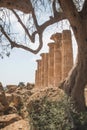 temple ruins in Sicily, Italy in Agrigento Royalty Free Stock Photo