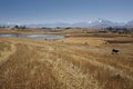 Andes mountain range, near Chincheros city, Peru