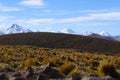 View of the Andes Mountains and volcanoes, Atacama Desert, Chile