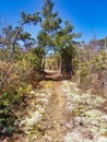 View of the Appalachian Mountain Trail from a lower elevation in an open field Royalty Free Stock Photo