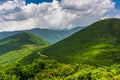 View of the Appalachian Mountains from Craggy Pinnacle, on the B Royalty Free Stock Photo