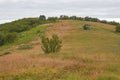 Appalachian Trail Scenery atop Cole Mountain, Virginia Royalty Free Stock Photo