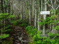 Trail Sign, Mahoosuc Trail, Appalachian Trail in Dark Woods