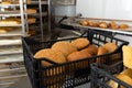 View of appetizing fresh baked bread