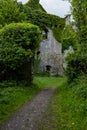 A view of the approach to the spectacular and magical ivy clad castle that has been left abandoned and to the forces of nature