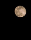 View of an april pink full moon