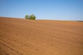 View of the arable field on a sunny day Royalty Free Stock Photo