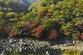 View of Arashiyama in Kyoto during Autumn